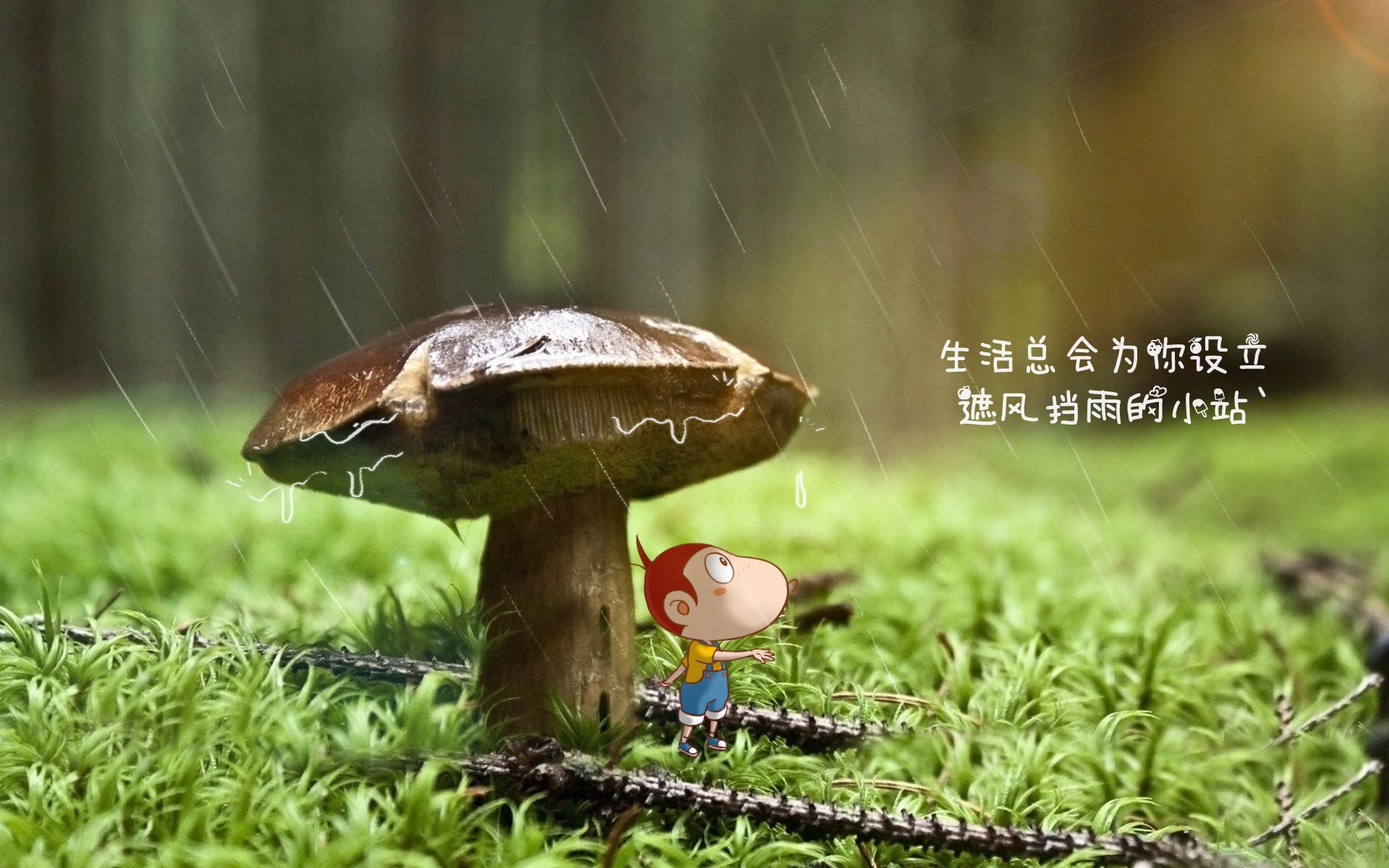 俱乐部融资：多元渠道支持球队成长，俱乐部如何盈利