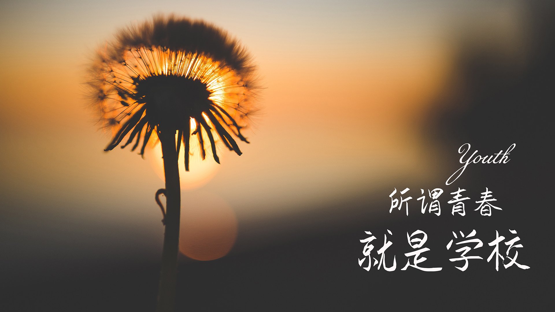 意甲青训结合空间导航训练强化球员局部压迫判断，意甲青训最好的球队