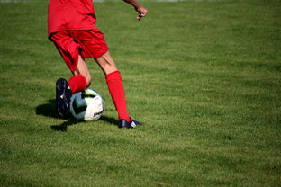 九游官网下载电脑版-篮球运动员训练负荷智能监控系统研发及应用，基础阶段篮球训练负荷安排