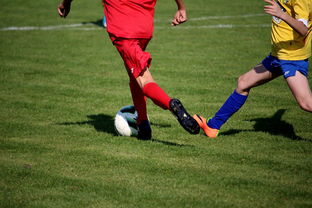 Jiu You-国际足球俱乐部青训论坛在广州召开，国际足联青训补偿标准